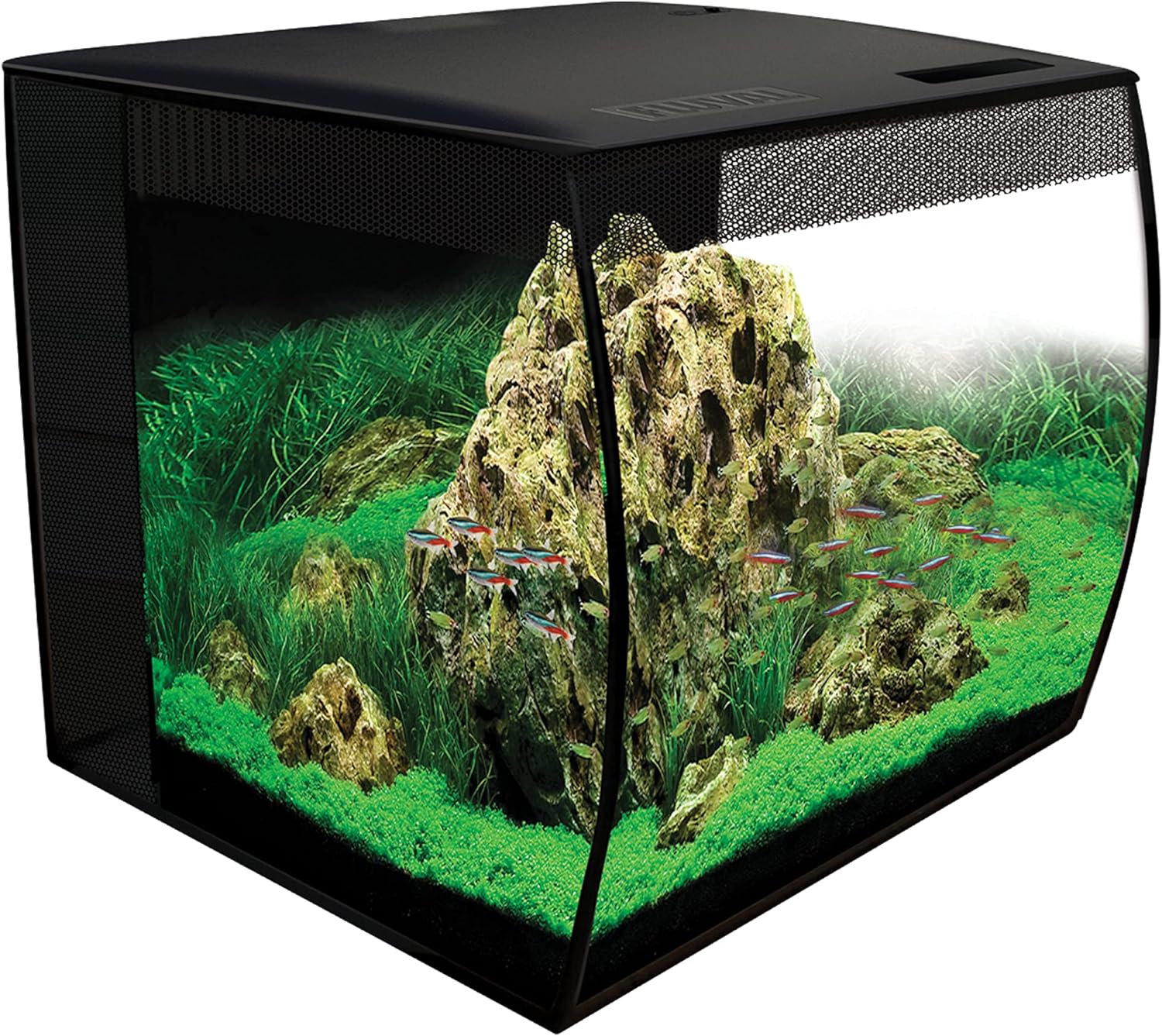 Fluval Flex Aquarium 123L, Süßwasser Aquarium, schwarz(schwarz/57 L)